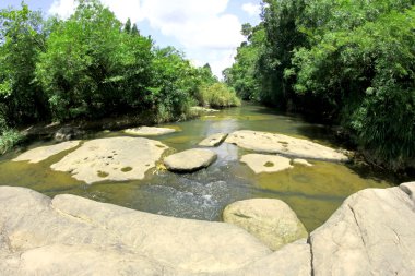 Derin orman nehir Krachan lam duan Ubon Ratchathani, Thailand