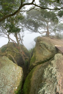 Cliff Pa Hin Ngam Milli Parkı'nda, Chaiyaphum, Tayland