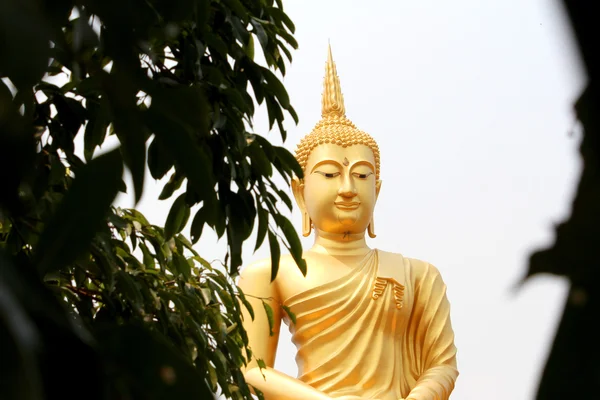 Большой золотой Будда Хуанг Най, Убон Ратчатхани, Тайла — стоковое фото