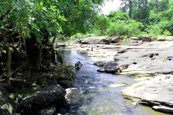 Tiefer Waldfluss kaeng lam duan in ubon ratchathani, Thailand — Stockfoto