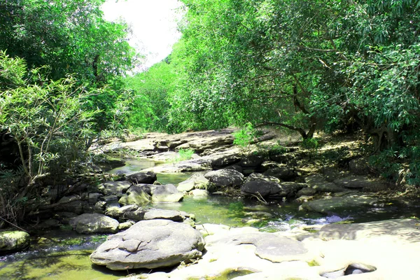 深い森川 kaeng ラム ウボンラチャタニ、タイの段 — ストック写真