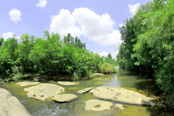 Derin orman nehir Krachan lam duan Ubon Ratchathani, Thailand