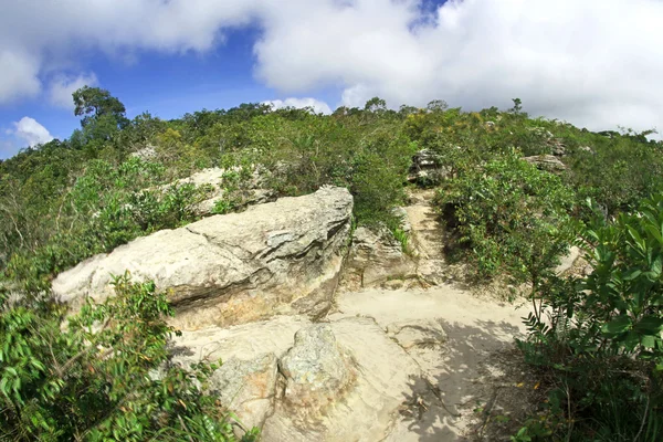 Rock at Pa Hin Ngam National Park, Chaiyaphum ,Thailand — Stock Photo, Image