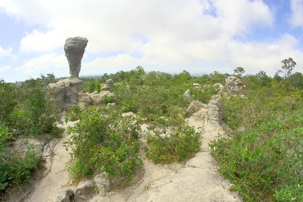 Rock en el Parque Nacional Pa Hin Ngam, Chaiyaphum, Tailandia — Foto de Stock