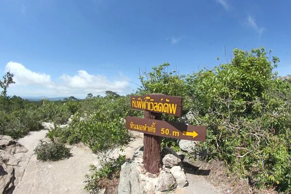 Rock in Pa Hin Ngam nationaal Park, Chaiyaphum, Thailand — Stockfoto