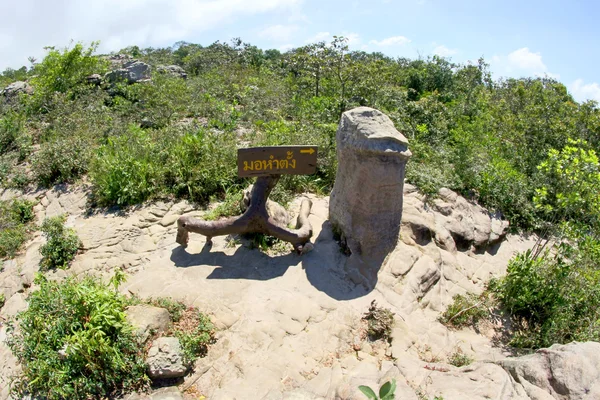 Rock in Pa Hin Ngam nationaal Park, Chaiyaphum, Thailand — Stockfoto