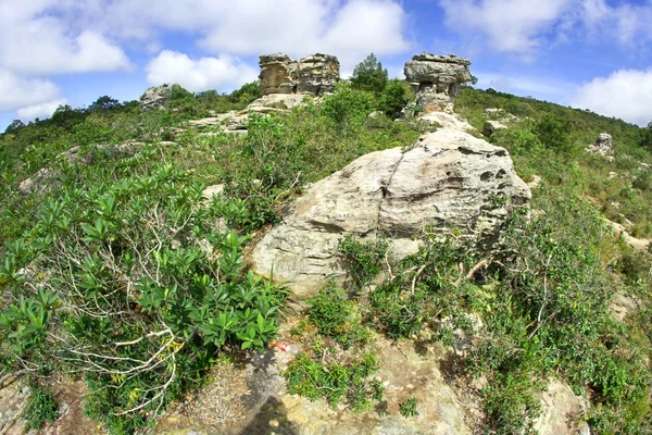 Rock w Pa Hin Ngam National Park, Chaiyaphum, Tajlandia — Zdjęcie stockowe