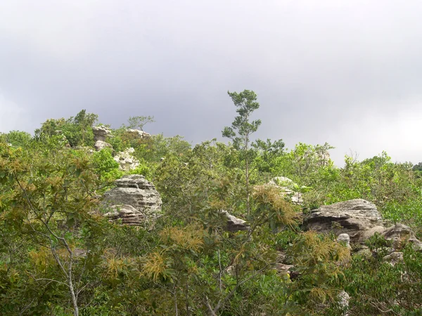 Рок на ПА Хін Ngam національний парк, Chaiyaphum, Таїланд — стокове фото