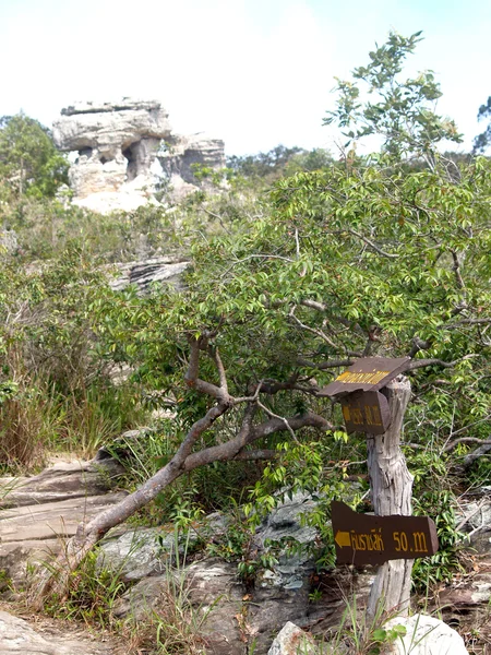 Ροκ στο Pa Hin Ngam εθνικό πάρκο, Chaiyaphum, Ταϊλάνδη — Φωτογραφία Αρχείου