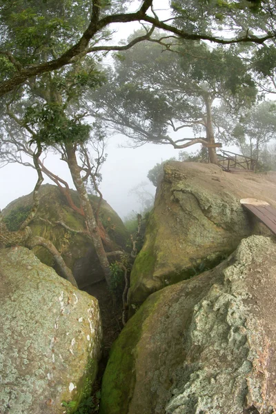 Klippe im pa hin ngam Nationalpark, chaiyaphum, Thailand — Stockfoto