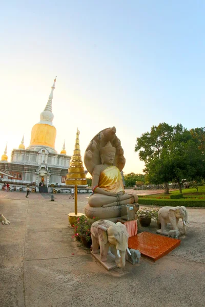 프라 그 Nadoon Stupa Mahasarakham 태국에서 — 스톡 사진