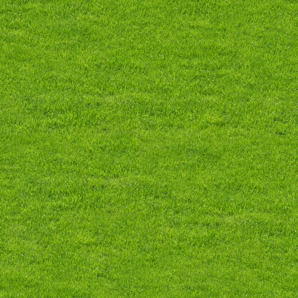 Nahtlose Textur von grünen Gräsern — Stockfoto