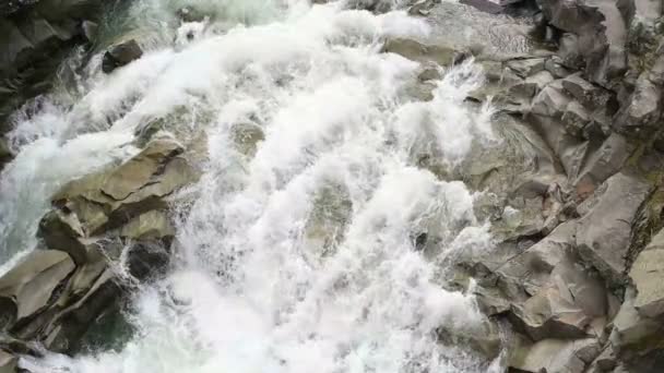 Bellissimo fiume di montagna — Video Stock