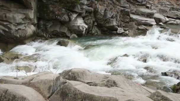 Hermoso río de montaña — Vídeo de stock