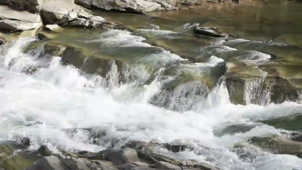 Beautiful mountain river — Stock Video