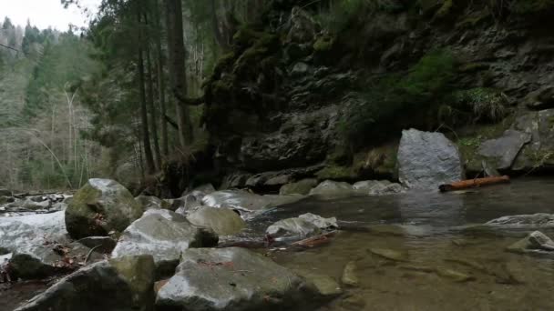 Pedras no rio de montanha — Vídeo de Stock