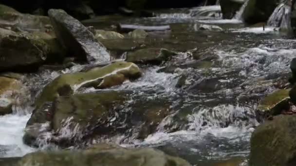 Stones on mountain river — Stock Video