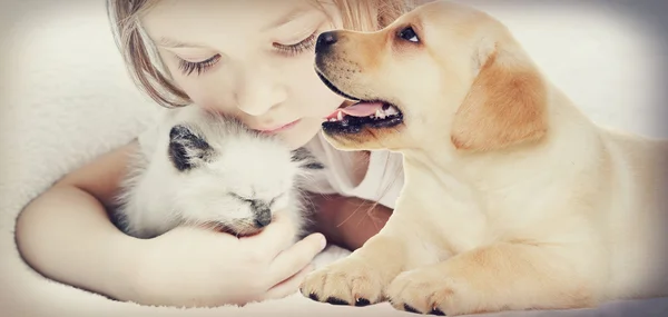 Gadis dan anak kucing dan anak anjing — Stok Foto