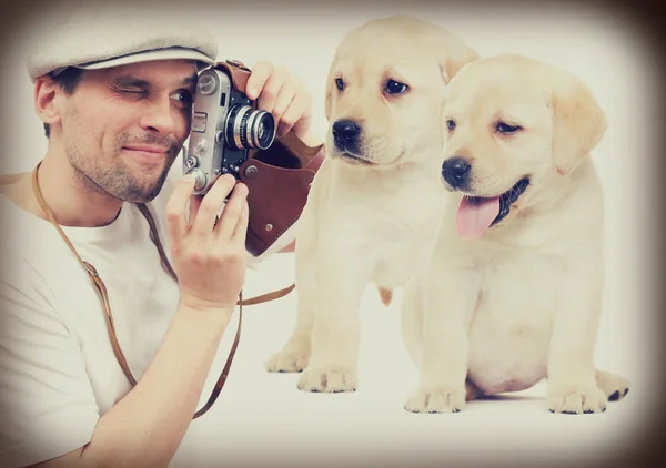 レトロな写真のラブラドール子犬 — ストック写真