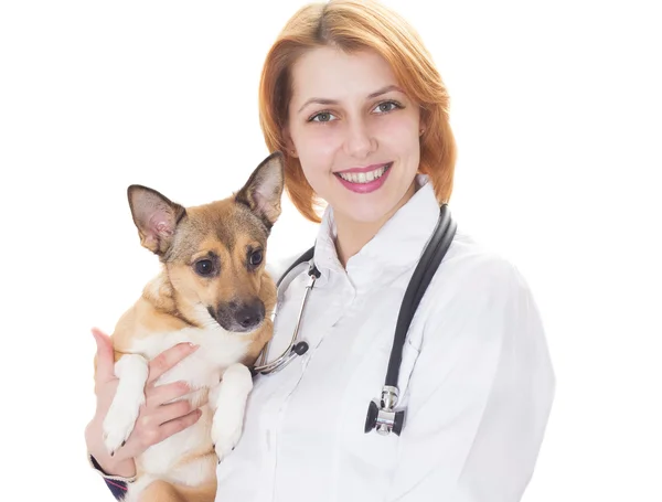 Veterinär och hund — Stockfoto