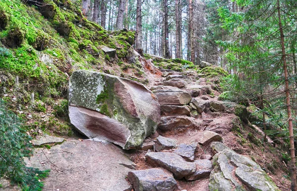 Cesta v horách — Stock fotografie