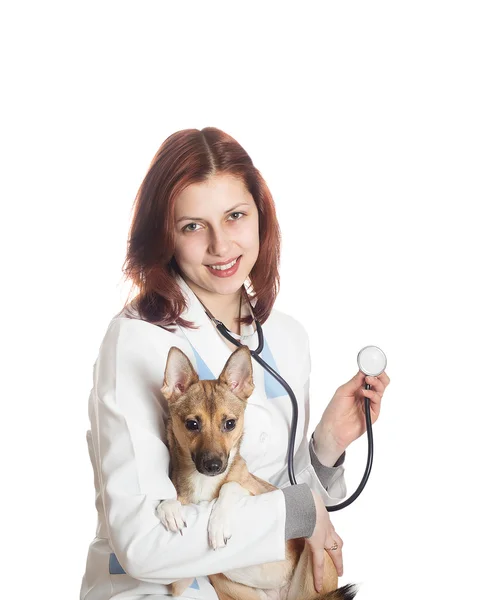 Kobieta lekarz weterynarii i pies na białym tle — Zdjęcie stockowe