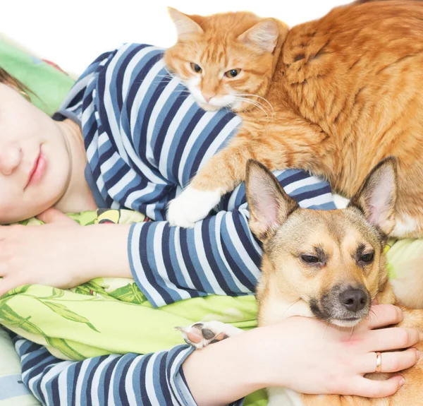 Ginger cat and dog — Stock Photo, Image