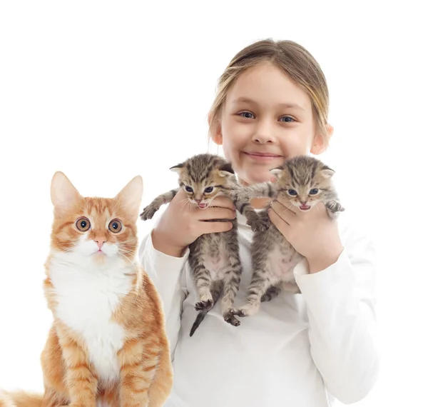 Ребенок и полосатые котята — стоковое фото