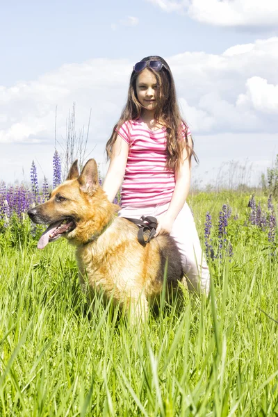 Flicka och hund — Stockfoto