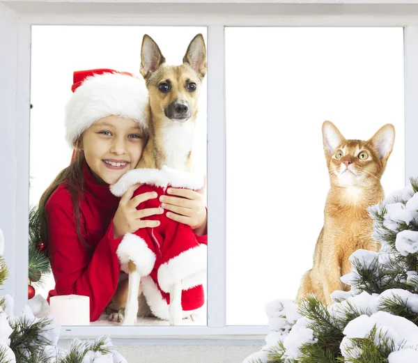 Lilla Santa flicka med hund och katt — Stockfoto