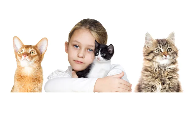 Menina com gatinhos — Fotografia de Stock