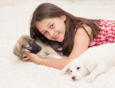 insan ve hayvan arasındaki dost kavramı