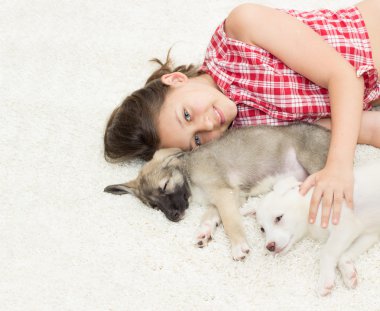 insan ve hayvan arasındaki dost kavramı