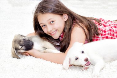 insan ve hayvan arasındaki dost kavramı