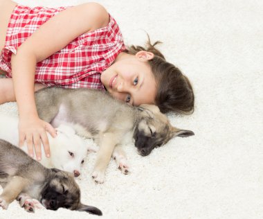 insan ve hayvan arasındaki dost kavramı