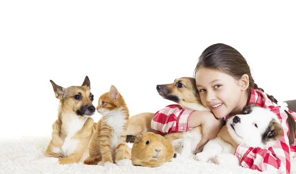 Conceito amigável entre homem e animal — Fotografia de Stock