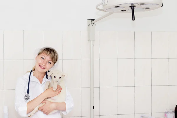 Veterinário feminino em um fundo clínicas — Fotografia de Stock