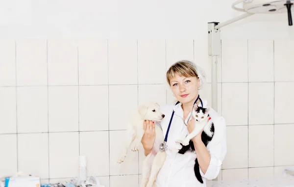 Veterinário feminino em um fundo clínicas — Fotografia de Stock