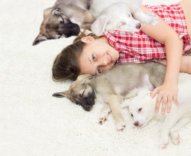 insan ve hayvan arasındaki dost kavramı