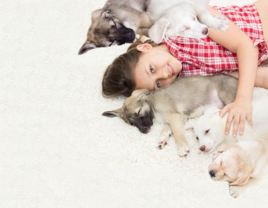 insan ve hayvan arasındaki dost kavramı