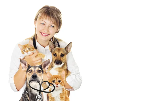 Veterinário fêmea em um fundo branco — Fotografia de Stock