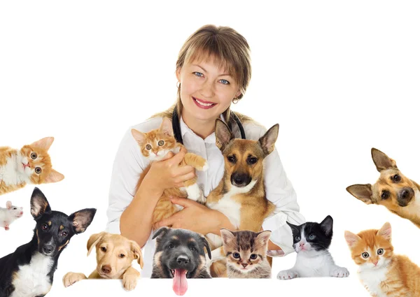 Veterinario sonriente y perro y gato — Foto de Stock