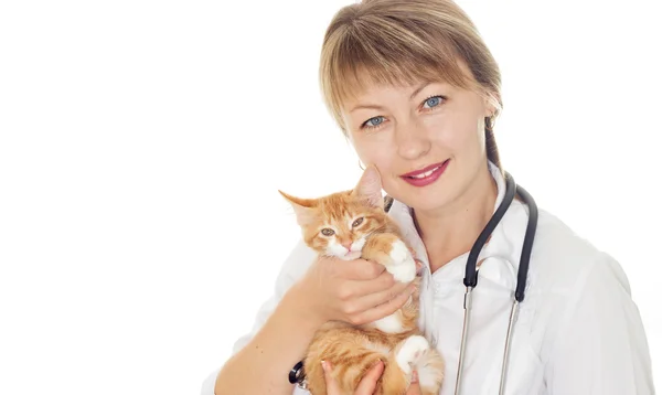 Médico veterinário mulher e um pequeno gatinho — Fotografia de Stock