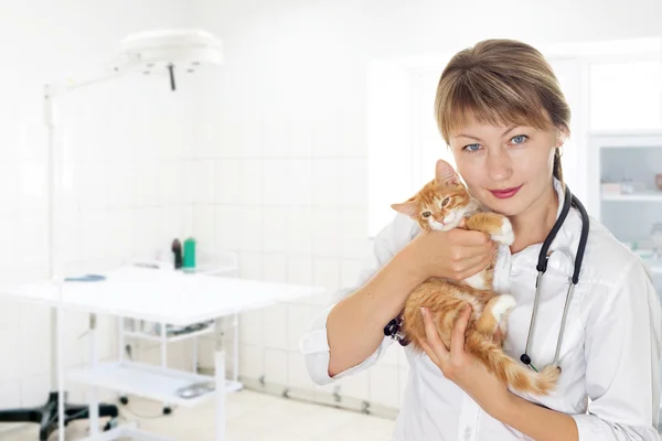 Kvinna veterinärmedicinska läkare och en liten kattunge — Stockfoto