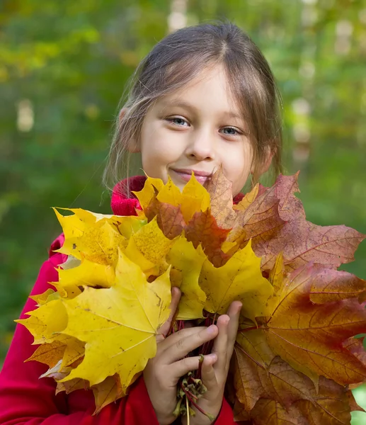 葉の黄色のカエデの花束を持つ少女 — ストック写真