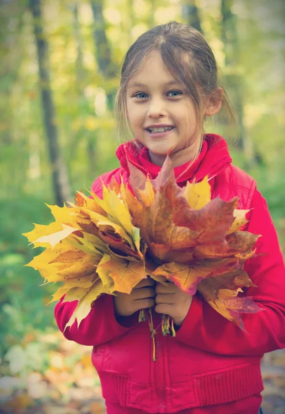 Beautiful little girl and a bouquet of autumn leaves — Stock Photo, Image