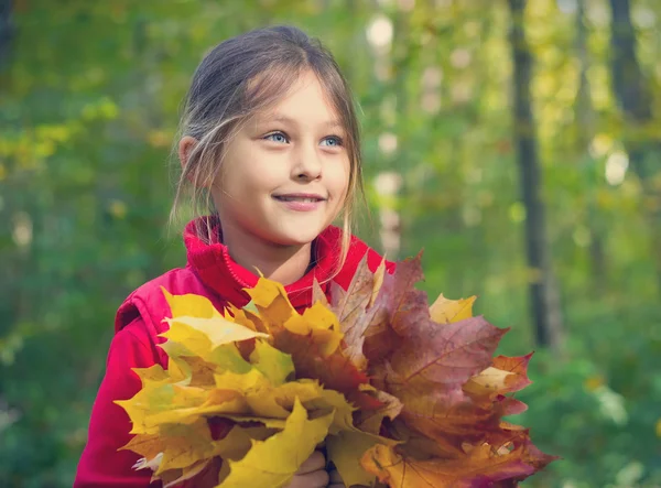 Pretty smiling little girl with maple leaves — Stock Photo, Image