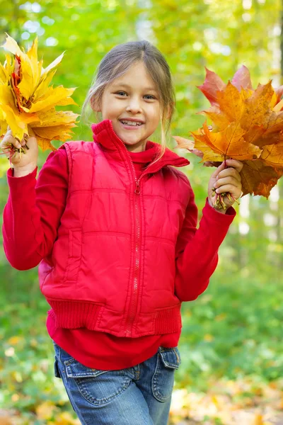 Cute little girl with maple bouquets in hands — Stock Photo, Image