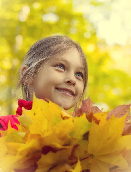 Herfst portret, schattig meisje met maple boeketten in handen — Stockfoto