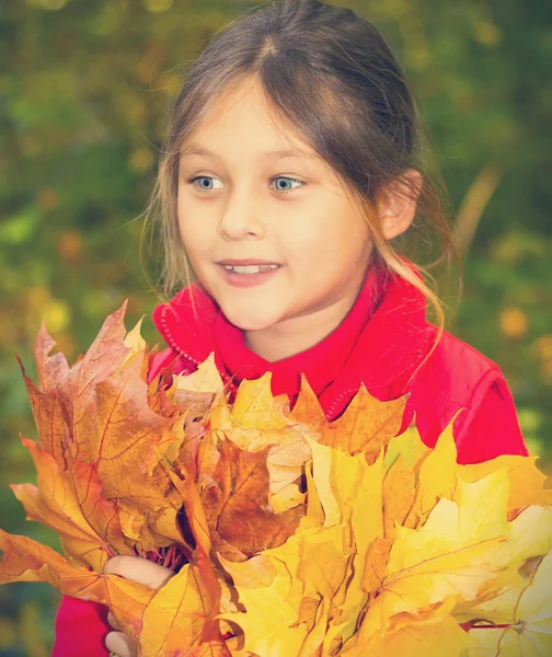 Lovely kid with a bouquet of yellow leaves — Stock Photo, Image